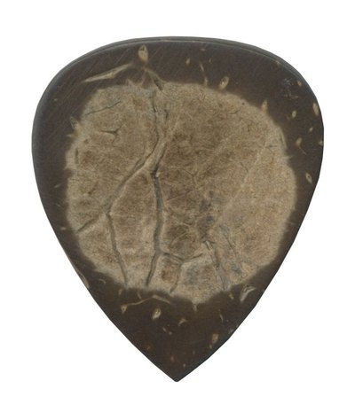 525936 CLAYTON Plektrum Exotic Wood Kokosnuss 525936