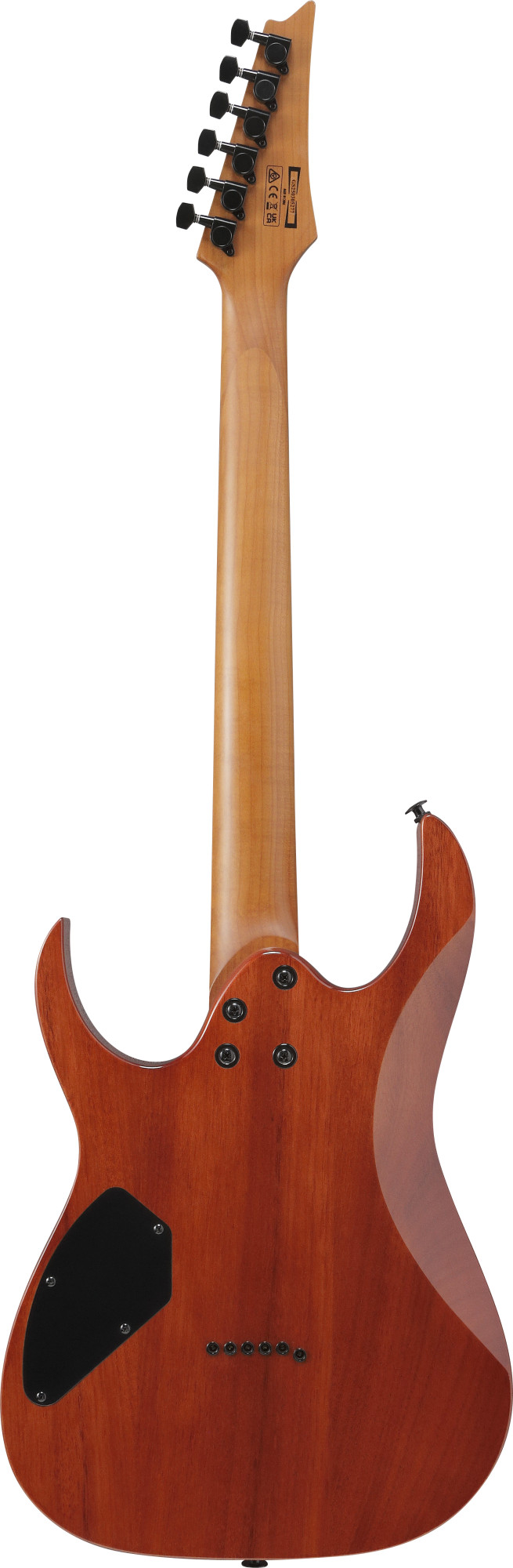 IBANEZ GRGR221FA-TDK GIO RGR E-Gitarre - Transparent Indigo Black