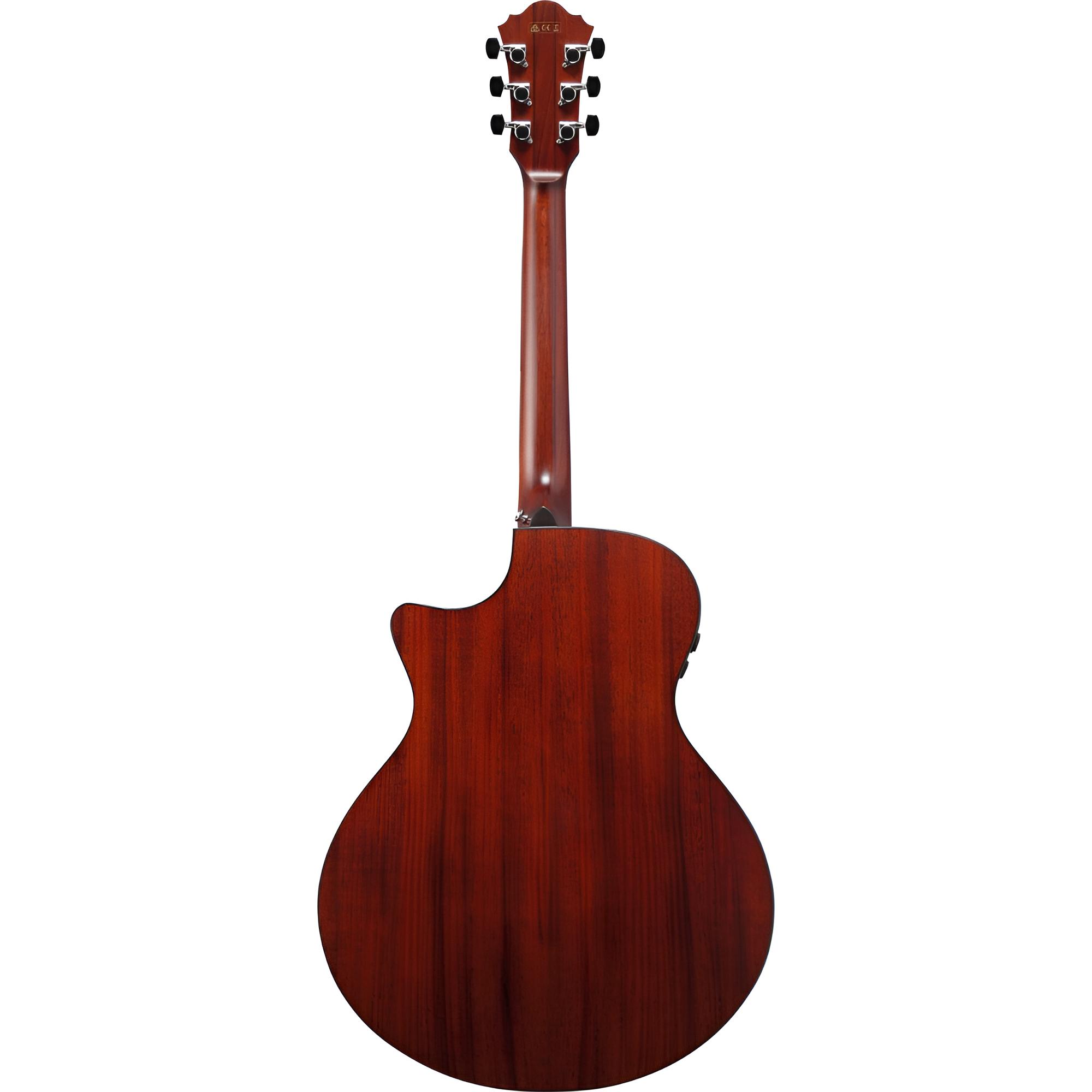 IBANEZ AE410-LGS Natural Low Gloss incl. Case